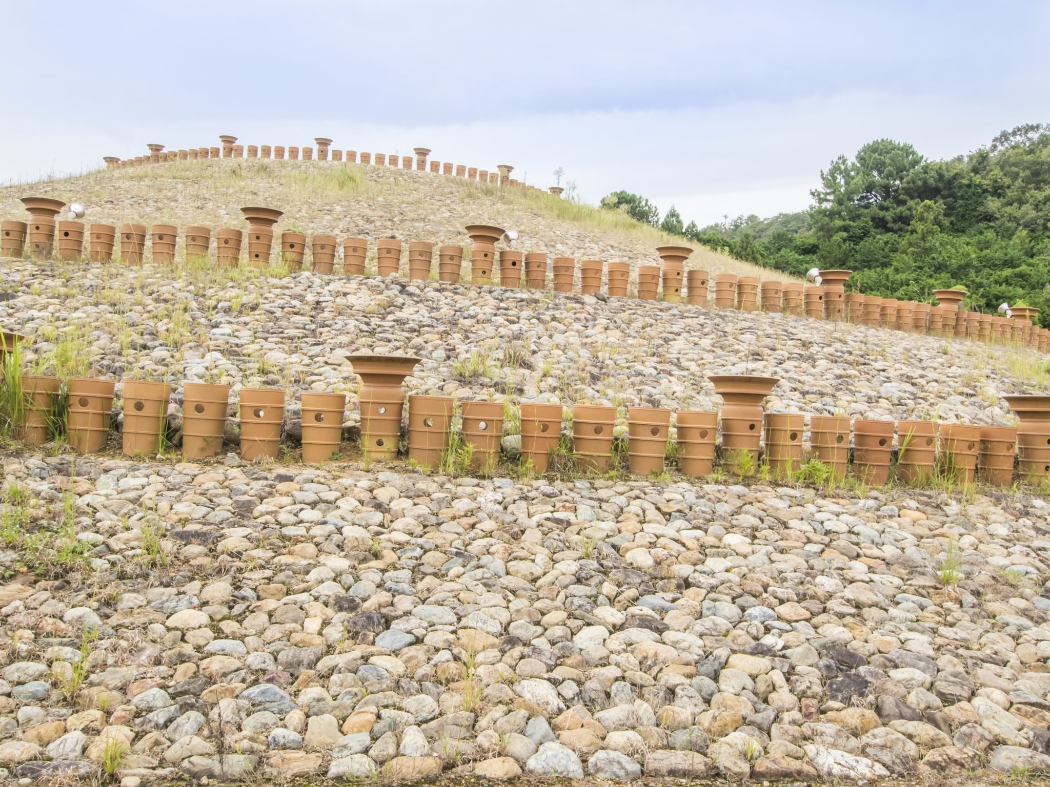 🏞️ 기사이치 마루야마 고분 공원(키사이치 마루야마 코훈 코엔) 이미지 1